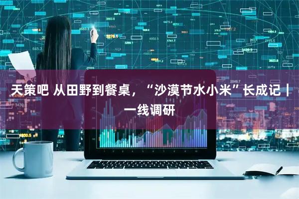 天策吧 从田野到餐桌，“沙漠节水小米”长成记｜一线调研