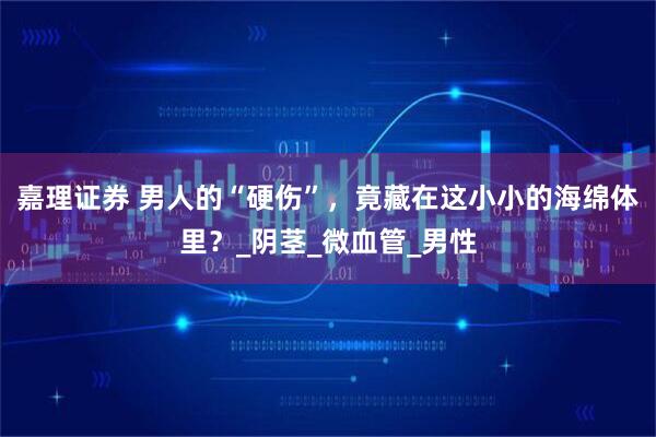 嘉理证券 男人的“硬伤”,竟藏在这小小的海绵体里?_阴茎_微血管_男性