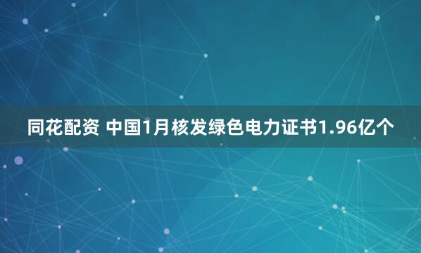 同花配资 中国1月核发绿色电力证书1.96亿个